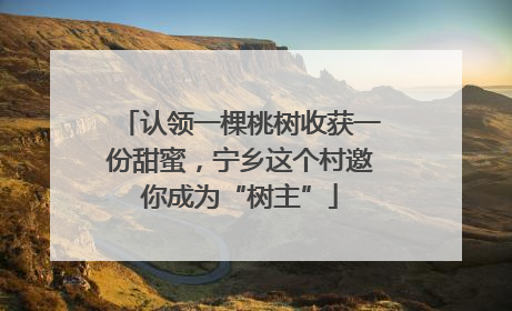 认领一棵桃树收获一份甜蜜，宁乡这个村邀你成为“树主”